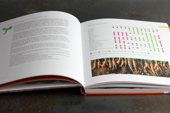 Wurzelwerk – Erntekalender